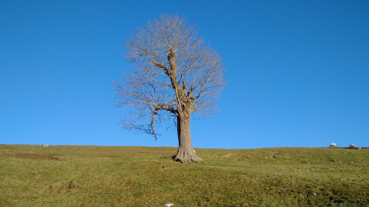 Dave in touch with nature Winter 2016-7